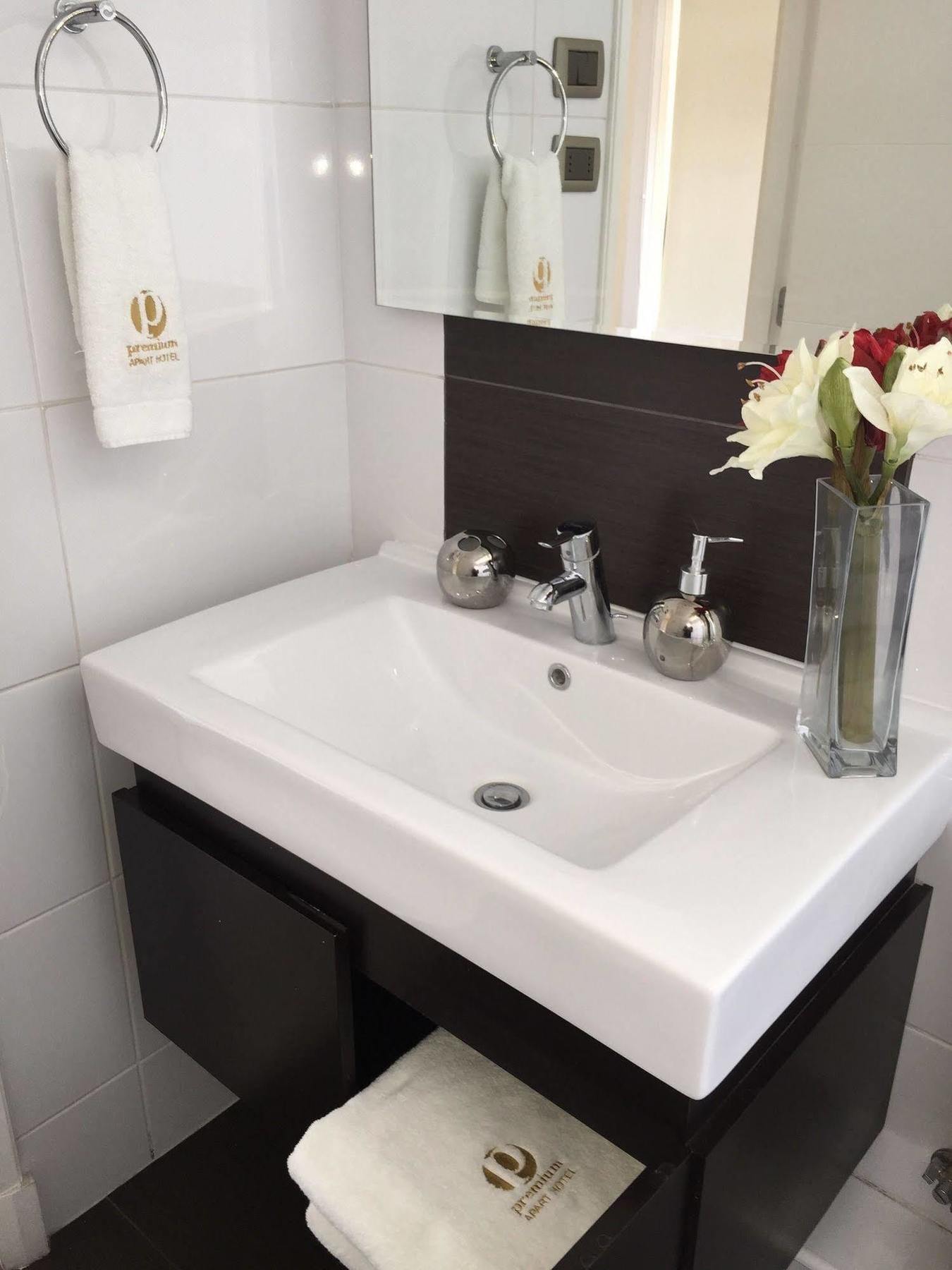 Apart Hotel Premium Santiago de Chile Zewnętrze zdjęcie